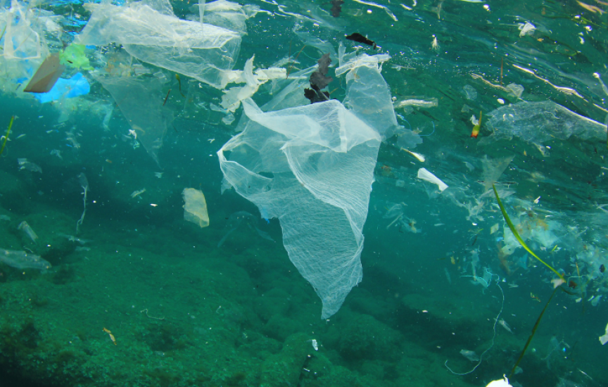 Plastic waste in the ocean